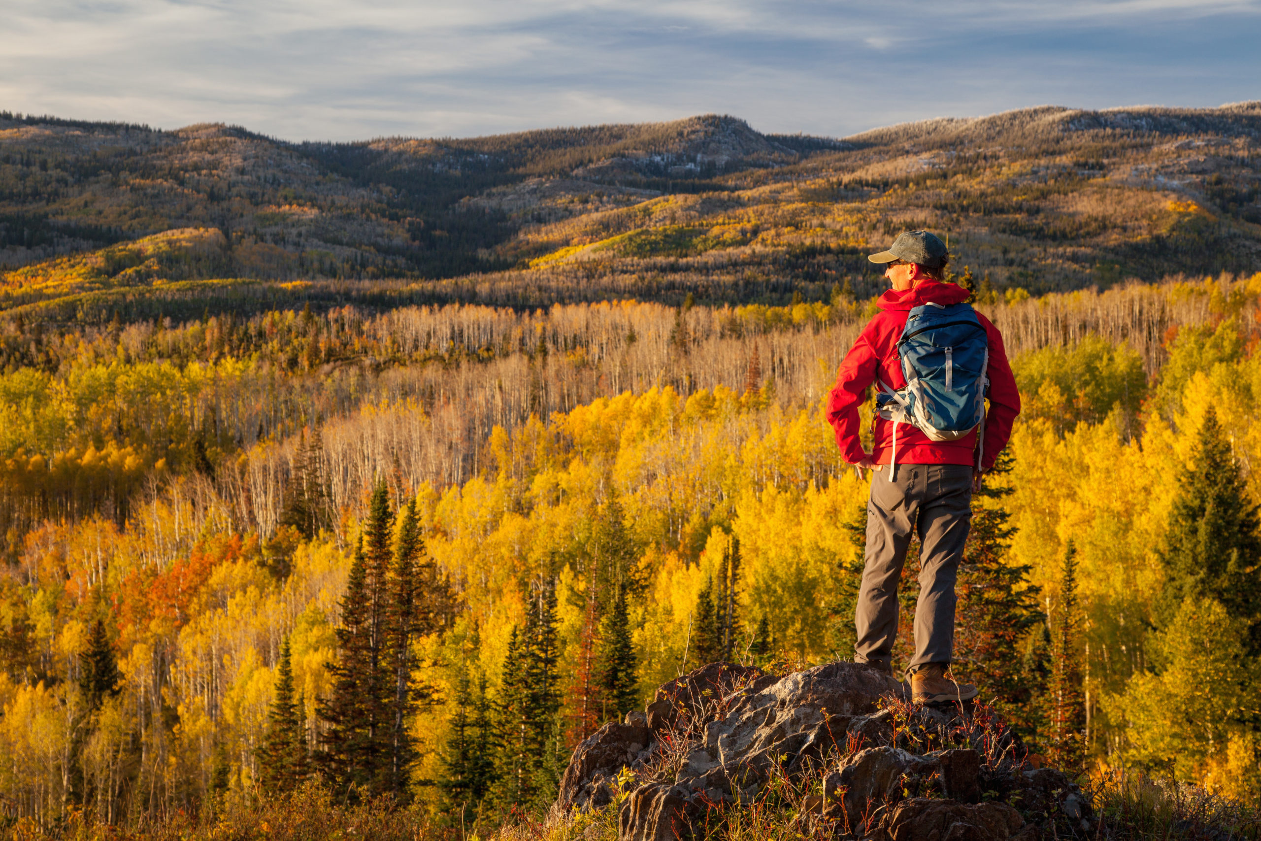 A male hiker stands on a rock to take in the autumn colored aspen trees in the mountain landscape near Steamboat Springs, Colorado.